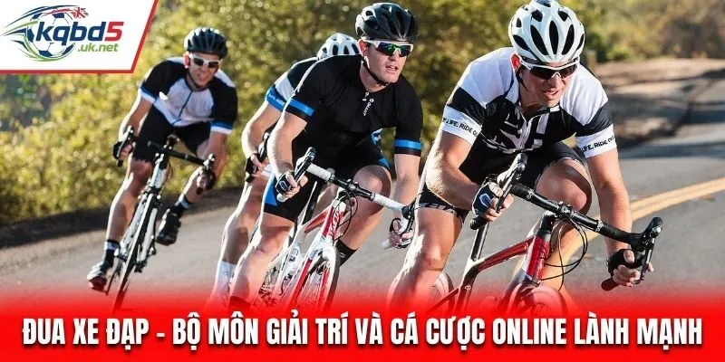 Đua Xe Đạp - Bộ Môn Giải Trí Và Cá Cược Online Lành Mạnh
