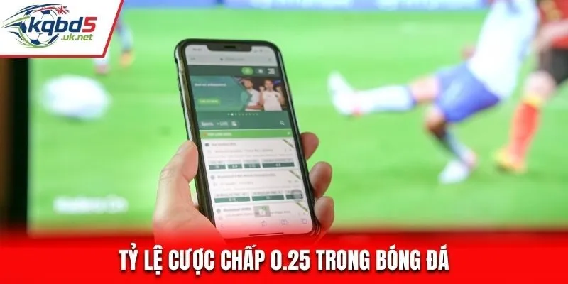 Tỷ lệ Kèo handicap phổ biến trên thị trường hiện nay